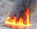 images/38 Jahre/IMG_8767.jpg